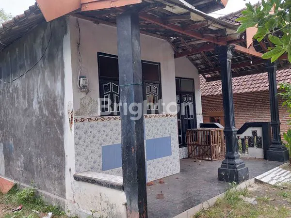 image RUMAH VIEW GUNUNG DI PACET - 498M² SHM SIAP KPR (2)