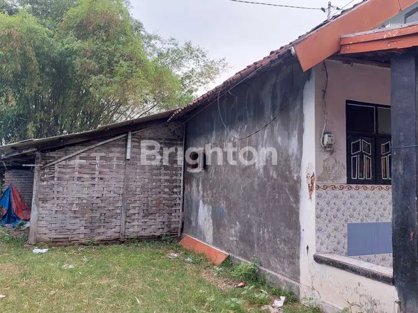 image RUMAH VIEW GUNUNG DI PACET - 498M² SHM SIAP KPR (3)