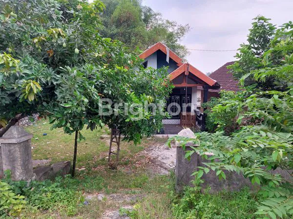 image RUMAH VIEW GUNUNG DI PACET - 498M² SHM SIAP KPR (6)