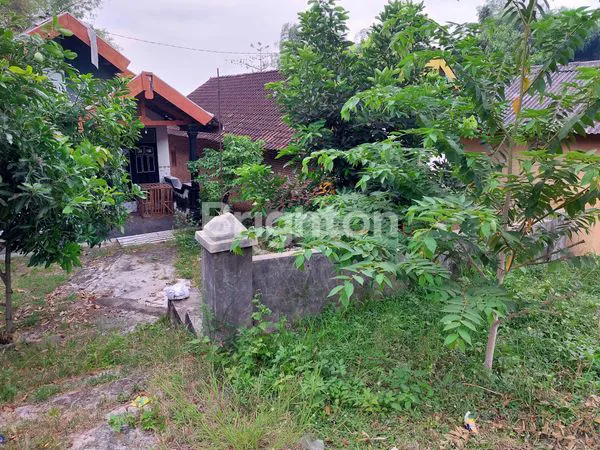 image RUMAH VIEW GUNUNG DI PACET - 498M² SHM SIAP KPR (5)