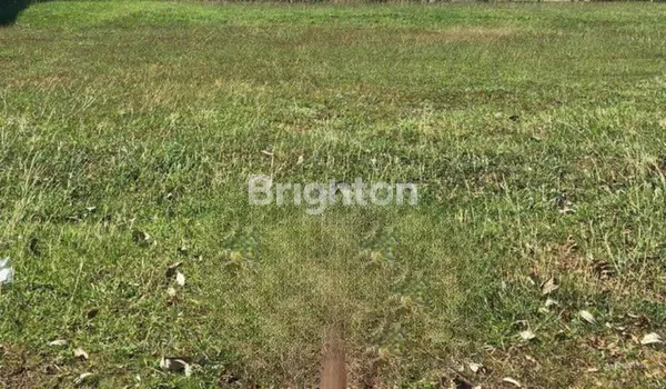 image TANAH KOMERSIAL BUKIT PALMA CITRALAND (1)