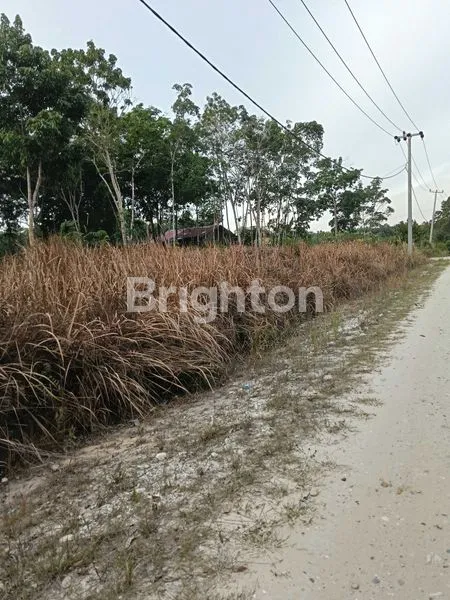 image KEBUN SAWIT DAERAH PERGUDANGAN DAN INDUSTRI (5)