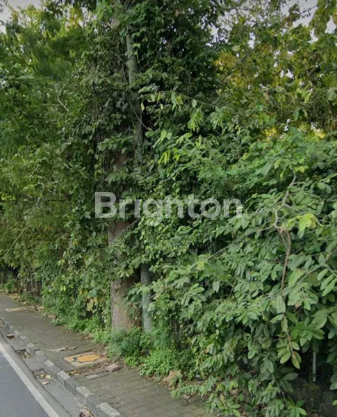 image BUC! TANAH LANGKA PINGGIR JALAN UTAMA – JIMBARAN, BALI (5)