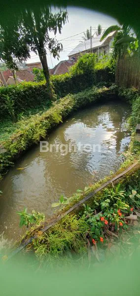 image LAHAN ADA SUMBER AIR DENGAN 25 KOLAM IKAN DAERAH PAMIJAHAN, BOGOR (3)