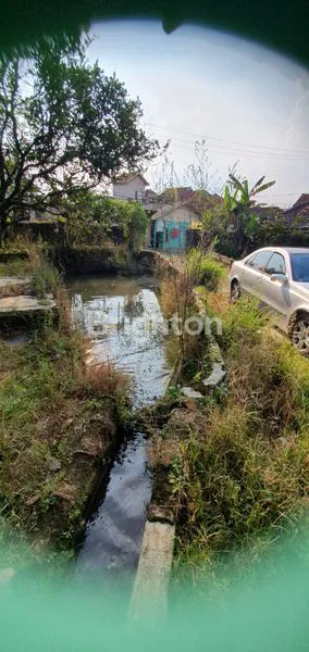 image LAHAN ADA SUMBER AIR DENGAN 25 KOLAM IKAN DAERAH PAMIJAHAN, BOGOR (1)