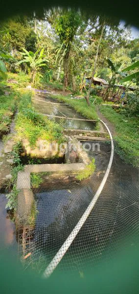 image LAHAN ADA SUMBER AIR DENGAN 25 KOLAM IKAN DAERAH PAMIJAHAN, BOGOR (2)