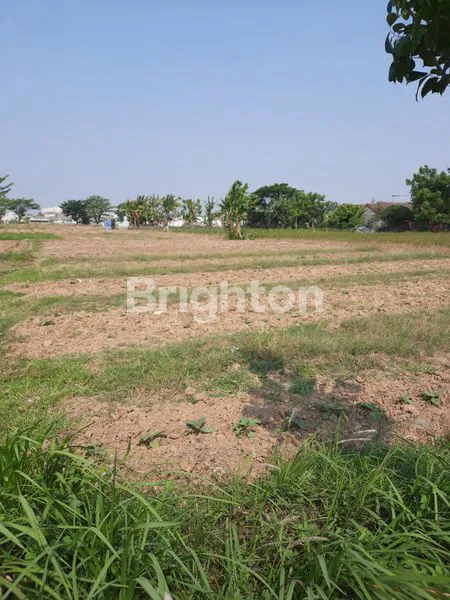 image TANAH KAVLING STRATEGIS – BEBAS BANJIR, TAMBUN UTARA BEKASI (3)