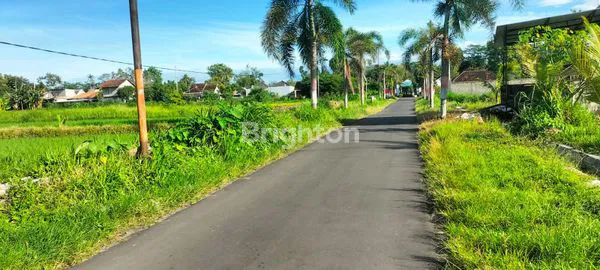 image JUAL TANAH PEKARANGAN JOGKAKARTA (3)