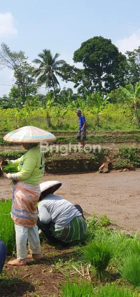image TANAH KAMPUNG JAWA. DI CIBUNGBULANG (3)