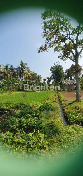 TANAH KAMPUNG JAWA. DI CIBUNGBULANG