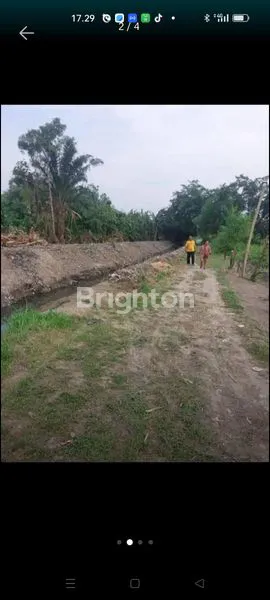 image JUAL TANAH DI BATANG KUIS KUALANAMU  (3)