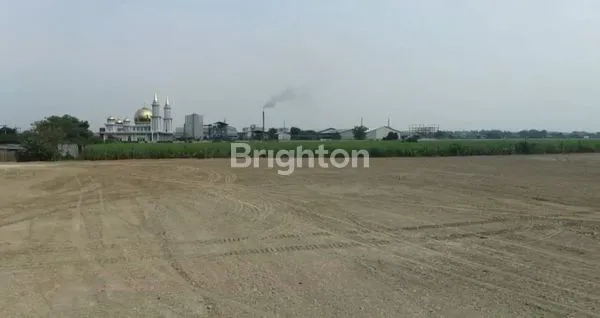 image TANAH DI MOJOTENGAH GRESIK (7)