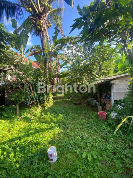 image TANAH PREMIUM 200M2 DI PUSAT KOTA TABANAN, DEKAT RS & SEKOLAH (1)