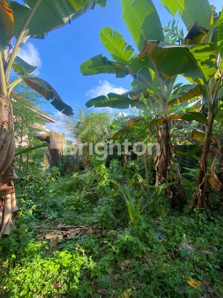 image TANAH PREMIUM 200M2 DI PUSAT KOTA TABANAN, DEKAT RS & SEKOLAH (4)