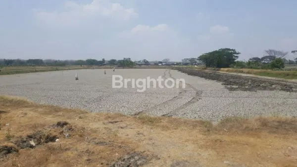 image TANAH JL RAYA BUNGAH GRESIK (2)