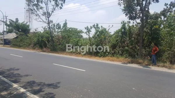 image TANAH JL RAYA BUNGAH GRESIK (4)