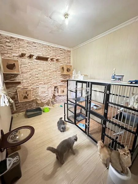 image RUMAH KOST 3 LANTAI + 2 RUKO STRATEGIS DI BARANANGSIANG BOGOR (4)