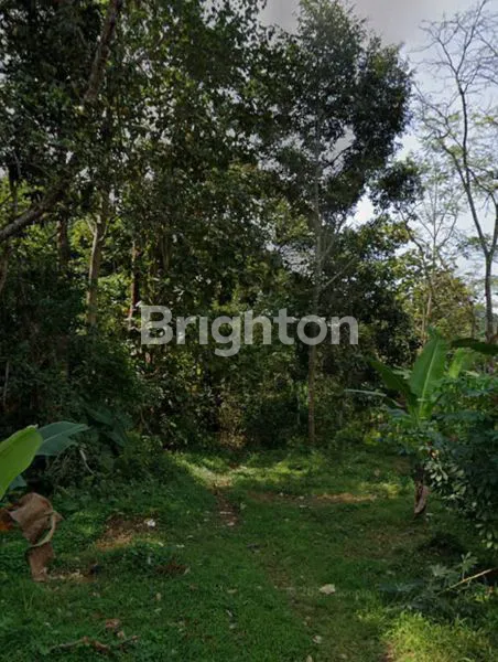 image TANAH STRATEGIS KOTA SEMARANG (4)