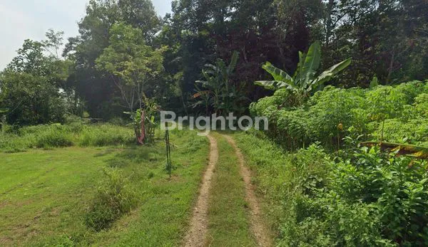 image TANAH STRATEGIS KOTA SEMARANG (3)