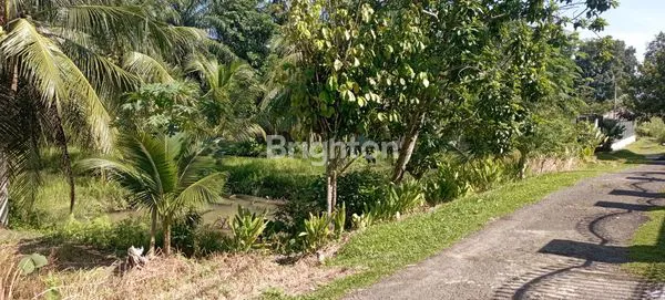 image KOLAM IKAN  AKTIF  (2)