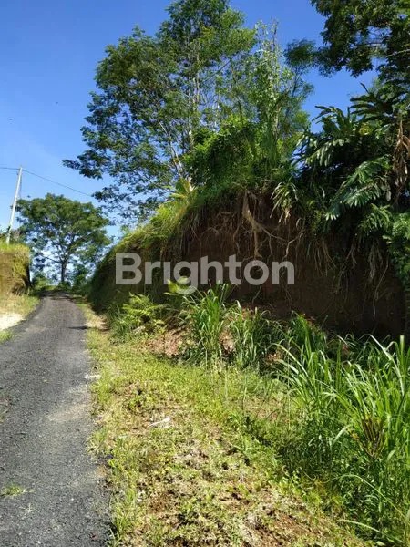 image TANAH PINGGIR JALAN BATURITI BALI (1)