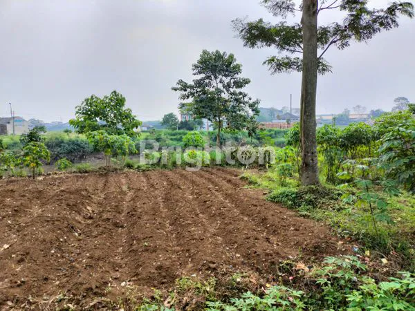 image TANAH KEBUN CIODENG BOJONG MALAKA BALEENDAH (6)