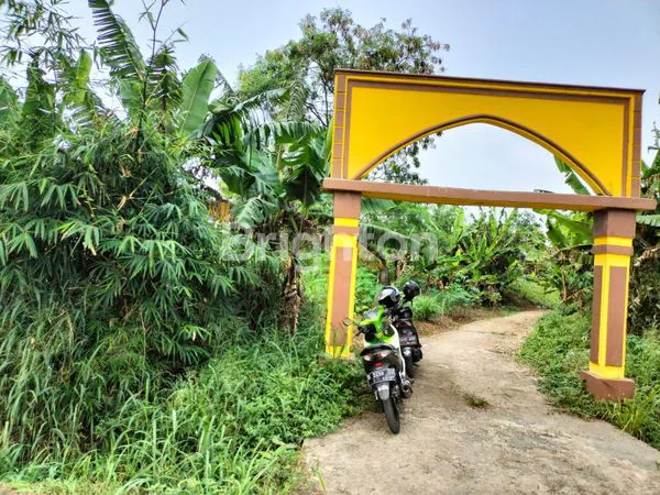 image TANAH KEBUN CIODENG BOJONG MALAKA BALEENDAH (4)