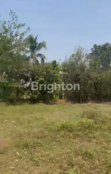 DIJUAL : TANAH STRATEGIS 1.359 M² TEPI JALAN RAYA CISOKA, TANGERANG.