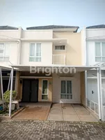 WhatsApp Image 2025 07 29 at 10.33.24 1