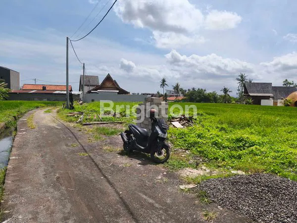 image LAND FOR SALE IN CEMAGI – RICE FIELD VIEW, CAR ACCESS, VILLA ZONE! (2)