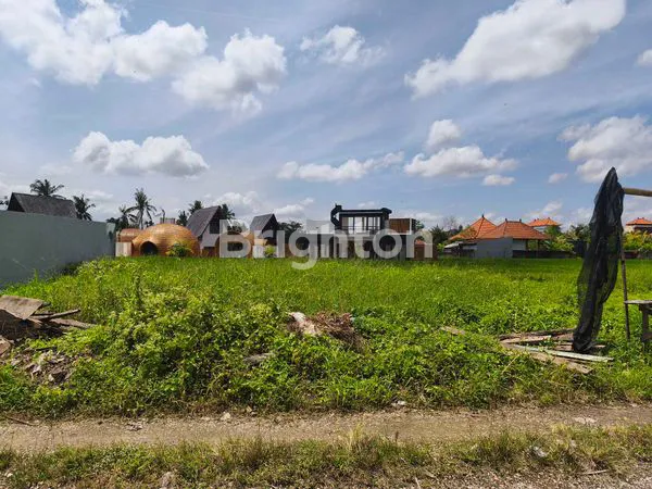 image LAND FOR SALE IN CEMAGI – RICE FIELD VIEW, CAR ACCESS, VILLA ZONE! (4)