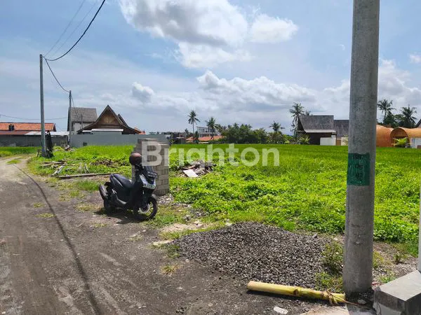 image LAND FOR SALE IN CEMAGI – RICE FIELD VIEW, CAR ACCESS, VILLA ZONE! (1)