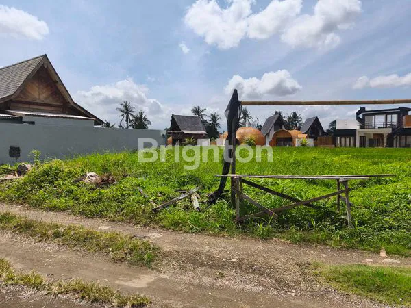 image LAND FOR SALE IN CEMAGI – RICE FIELD VIEW, CAR ACCESS, VILLA ZONE! (3)