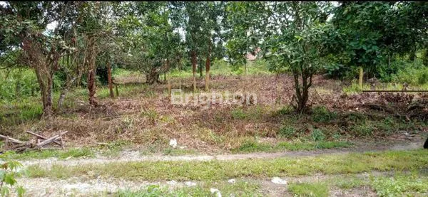 image TANAH 2 KAVLING RIMBO PANJANG KM19 (2)