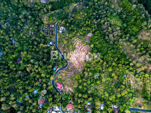 image TANAH 1 HEKTAR VIEW LAUT & GUNUNG DI TEJAKULA, BULELENG (5)