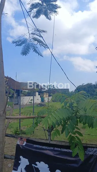 image JUAL/SEWA TANAH JIMBARAN ATAS (5)