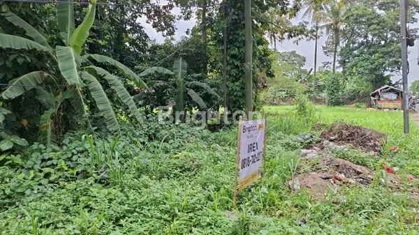 image KAVLING STRATEGIS DI TANAH SAREAL RAYA DEKAT KAMPUS NUSA BANGSA BOGOR (2)