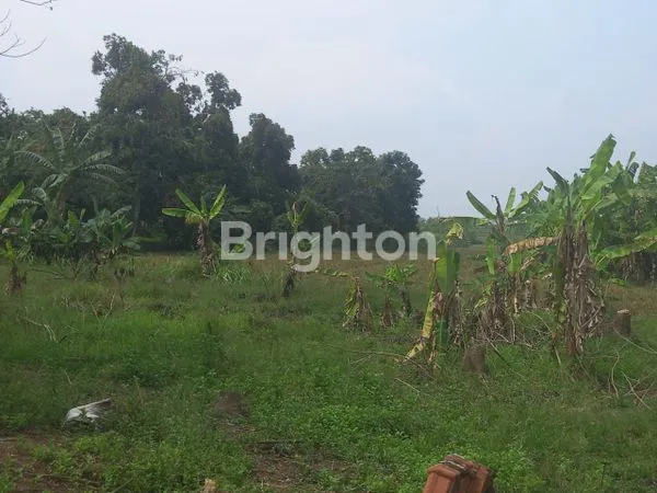 image TANAH 35 HEKTAR LOKASI DI SUBANG PADAASIH, BANYAK DIINCAR OLEH PARA INVESTOR (1)