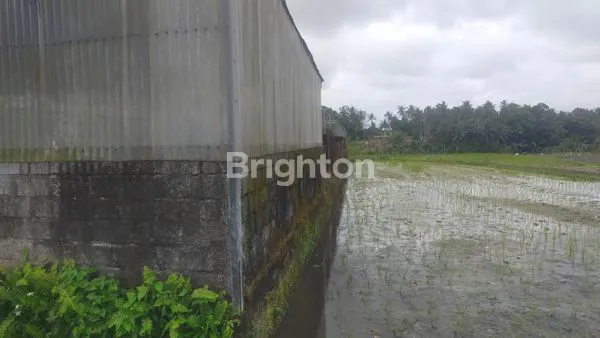 image TANAH INDUSTRI 8 ARE DI BLAHKIUH, AKSES JALAN UTAMA, SHM (2)