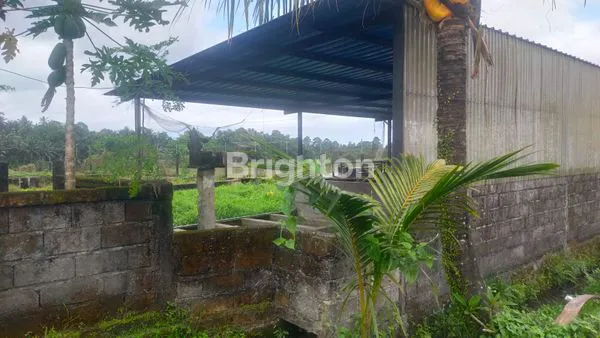 image TANAH INDUSTRI 8 ARE DI BLAHKIUH, AKSES JALAN UTAMA, SHM (5)