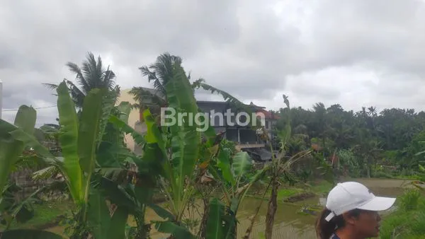 image TANAH PREMIUM 36 ARE VIEW ASRI DEKAT MONKEY FOREST SANGEH (5)