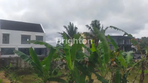 image TANAH PREMIUM 36 ARE VIEW ASRI DEKAT MONKEY FOREST SANGEH (7)