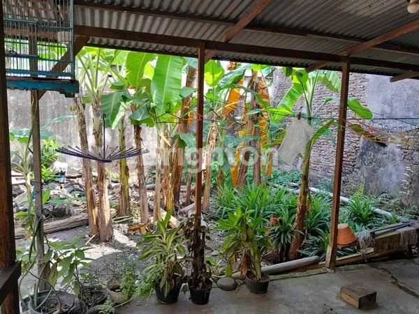 image RUMAH 1 LANTAI DI BRIGJEN KATAMSO SIDOARJO, HITUNG TANAH! (4)