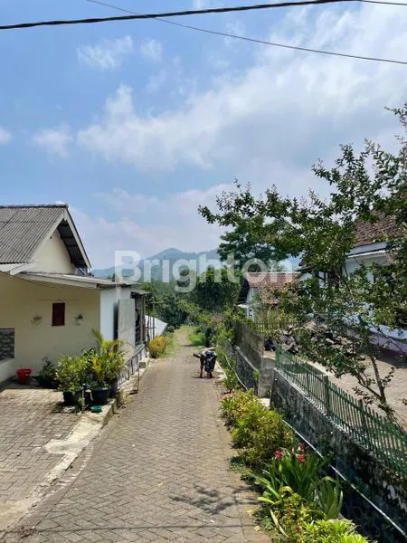 image  TANAH  DAN BANGUNAN GREENHOUSE DI DESA PUNGGING PASURUAN (4)