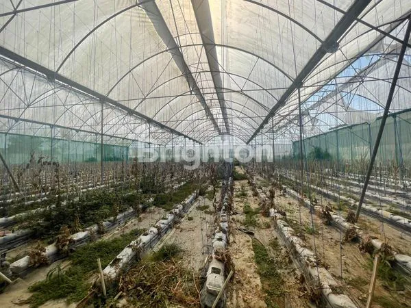 image  TANAH  DAN BANGUNAN GREENHOUSE DI DESA PUNGGING PASURUAN (8)