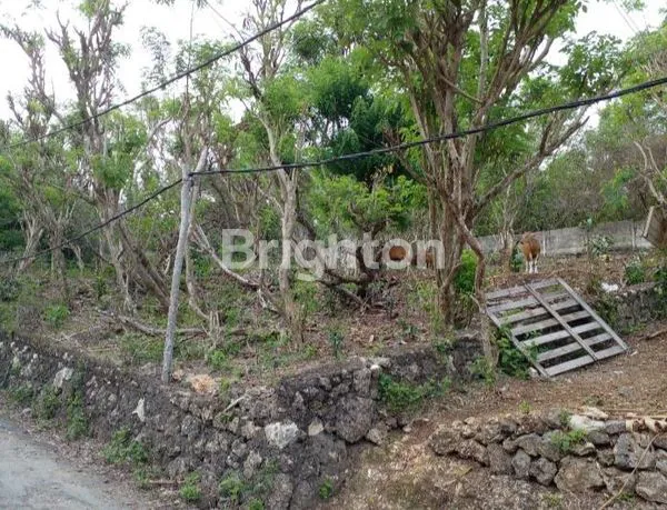 image TANAH MURAH DI PURI GADING JIMBARAN (2)