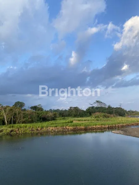 image TANAH PINGGIR PANTAI SEDAYU (1)