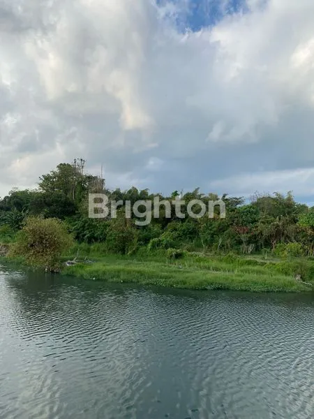 image TANAH PINGGIR PANTAI SEDAYU (3)