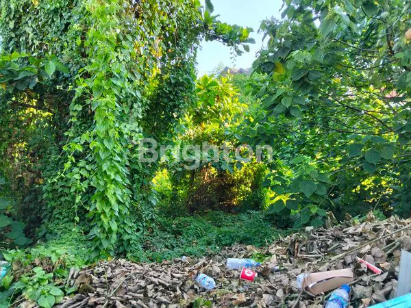 image TANAH 13 ARE DI PANTAI MATAHARI TERBIT, SANUR (2)