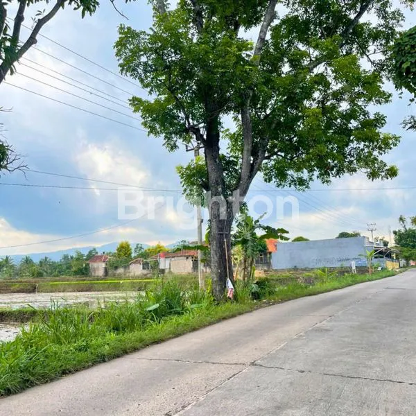 image LAHAN STRATEGIS DI MAINROAD WARUNGKONDANG CIANJUR - HARGA MASIH RENDAH, UNTUNG BESAR (4)